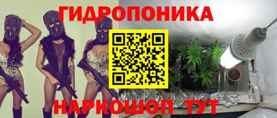 spice Волгодонск